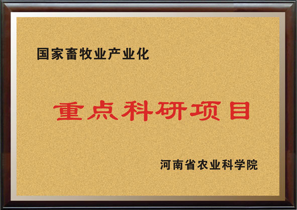 重點(diǎn)科研項目